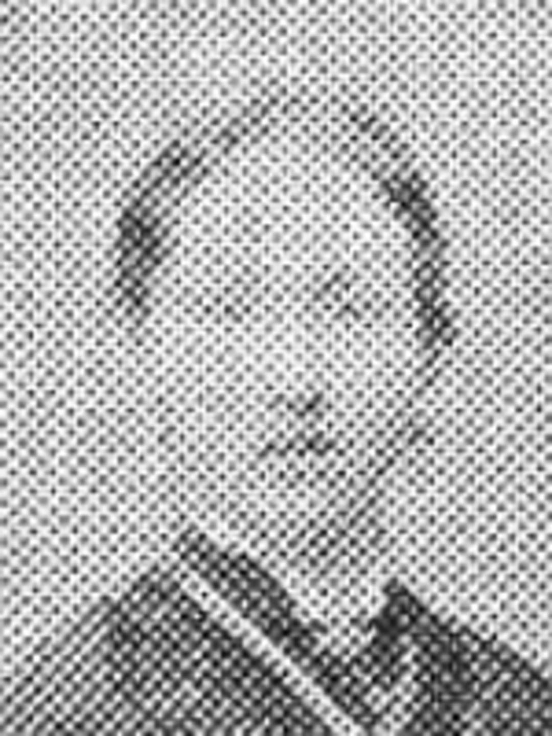 Susan Douglass Airmet (1861 - 1924) Profile